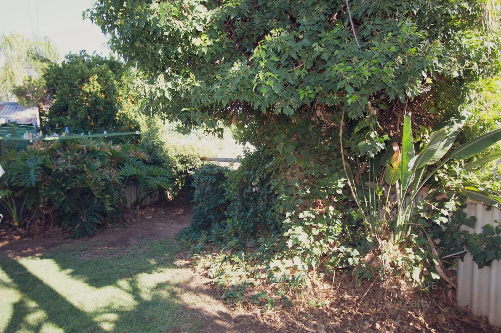 Additional image 11 of 12 Heming Street, Waikerie SA 5330