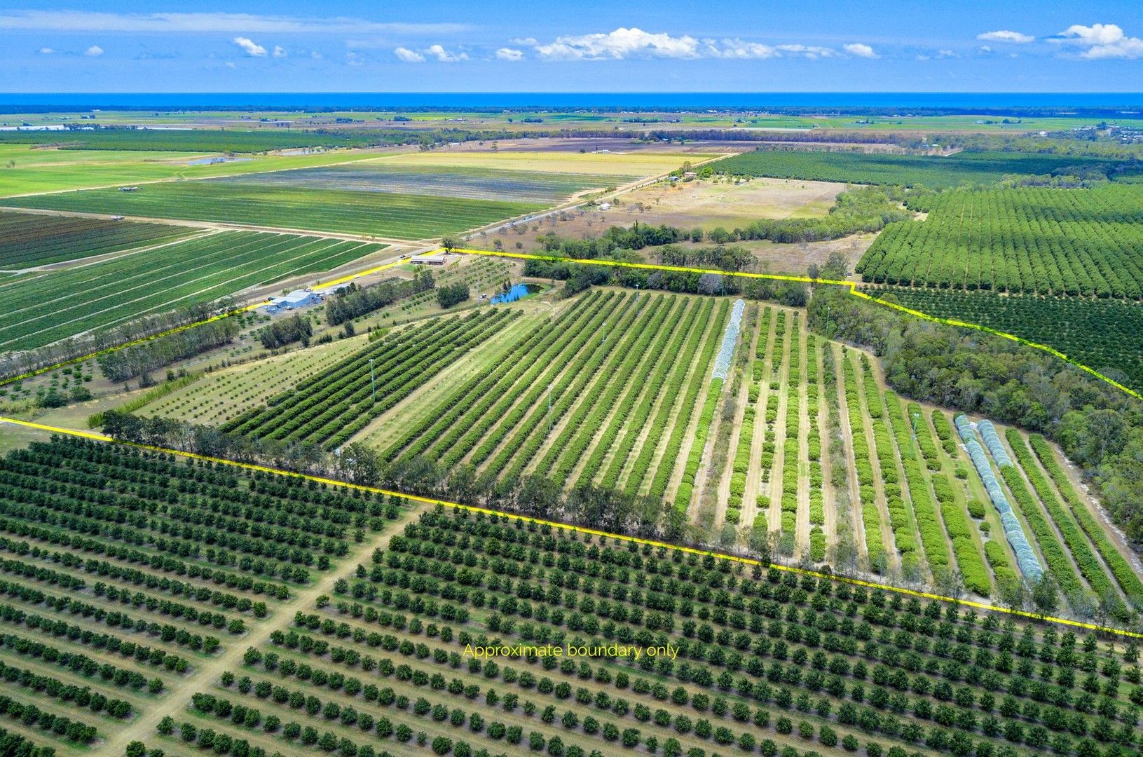 Creek QLD 4670 House for Sale Domain