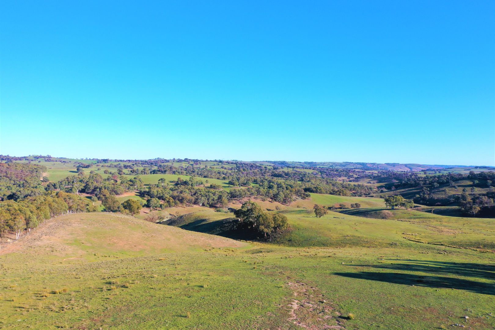 Lot 290 Yalbraith Road, Taralga NSW 2580, Image 2