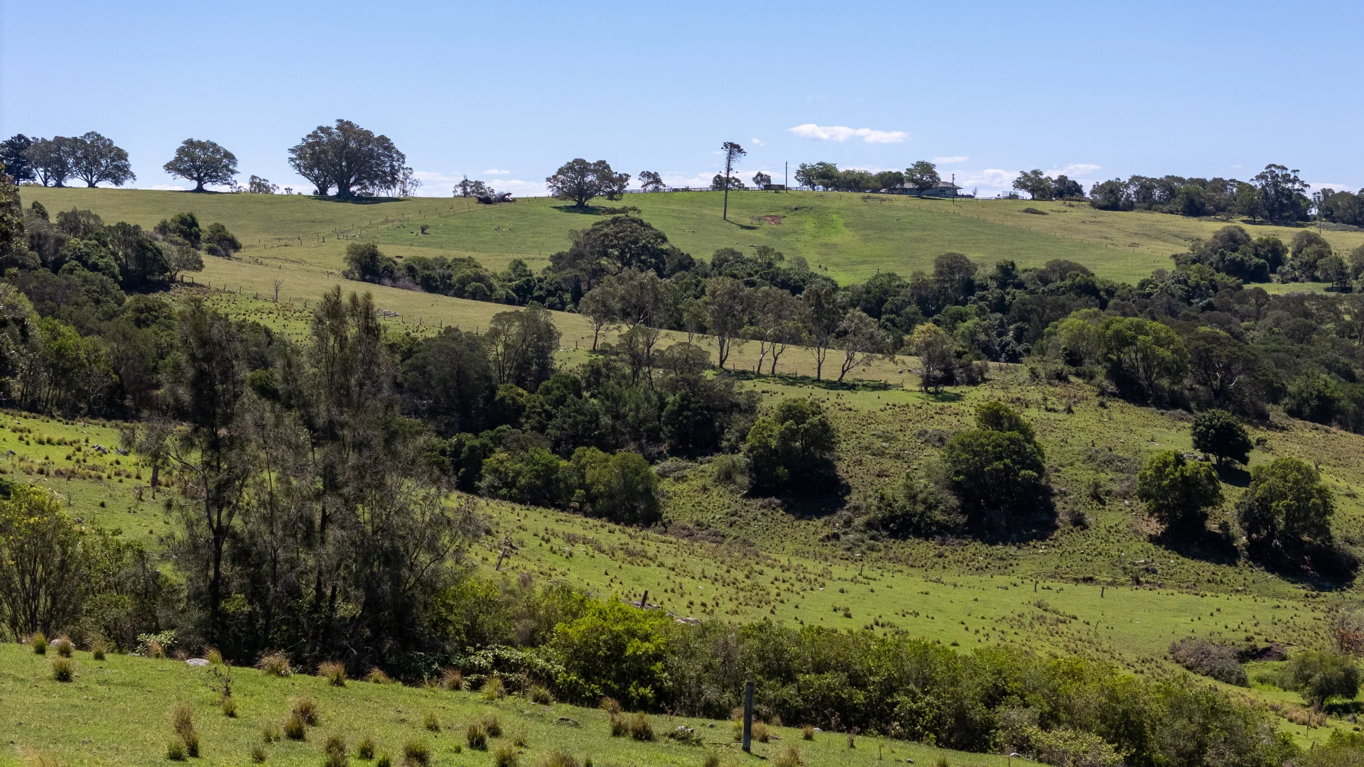 Additional image 20 of Lot 2 Gordon & Graham Street, Milton NSW 2538