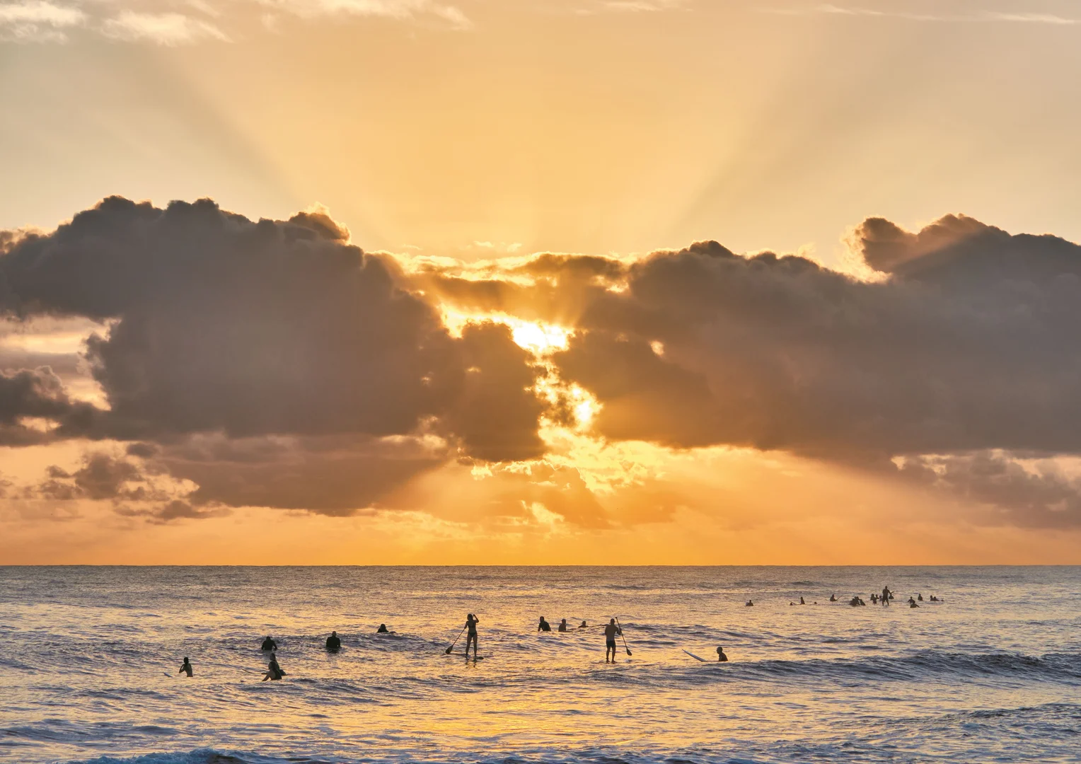 Additional image 34 of 5 Bluejay Street, Burleigh Waters QLD 4220