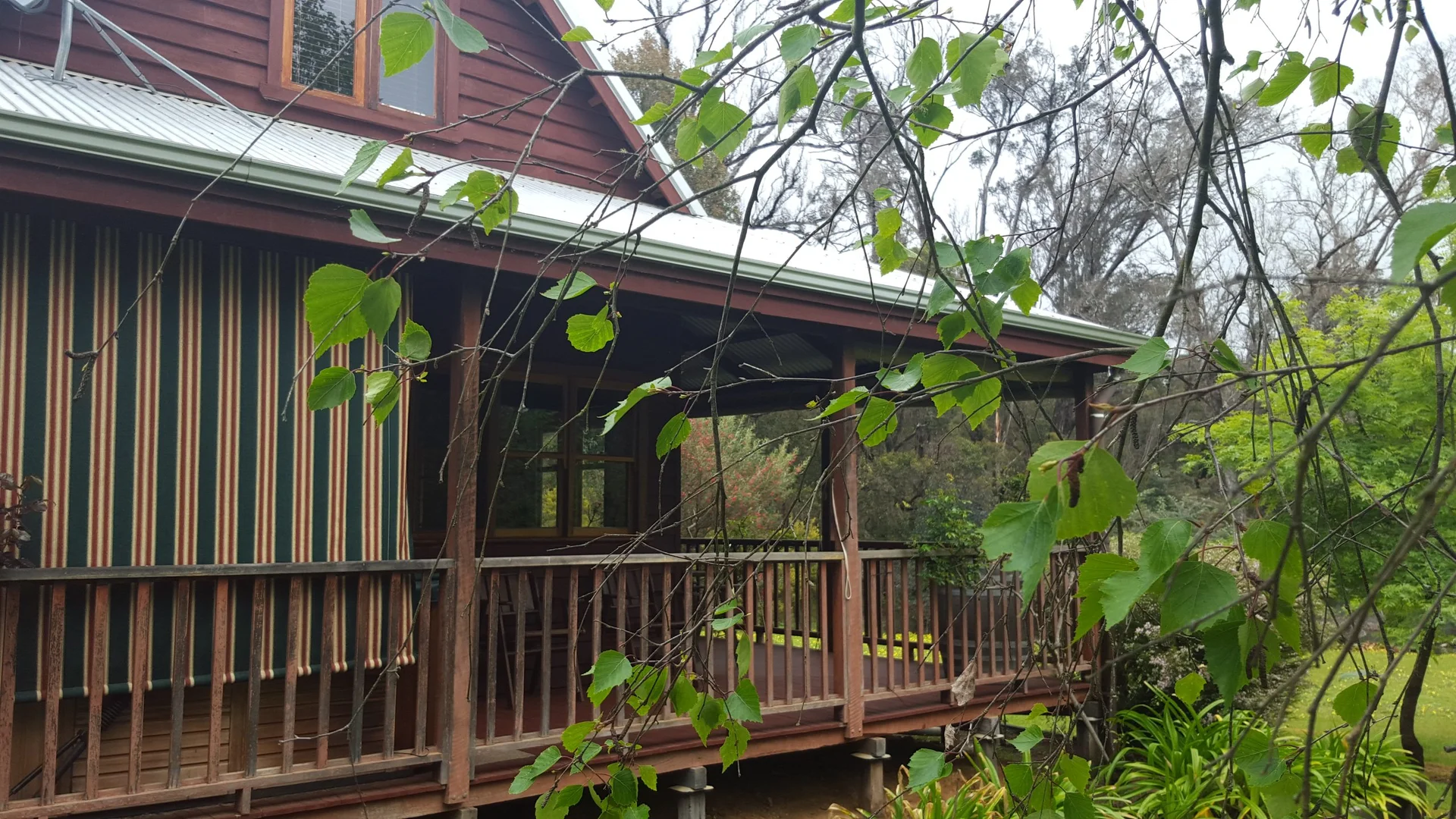 Image 11