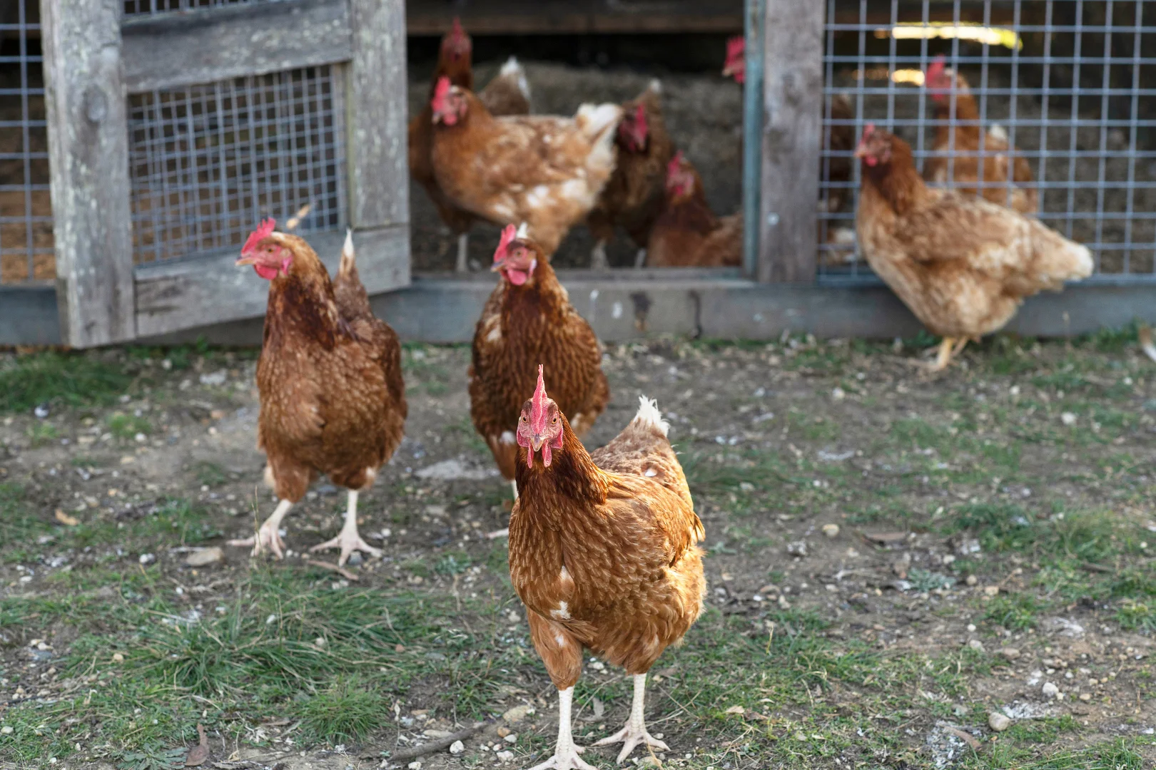 Additional image 16 of 24 Redgum Drive, Tallong NSW 2579