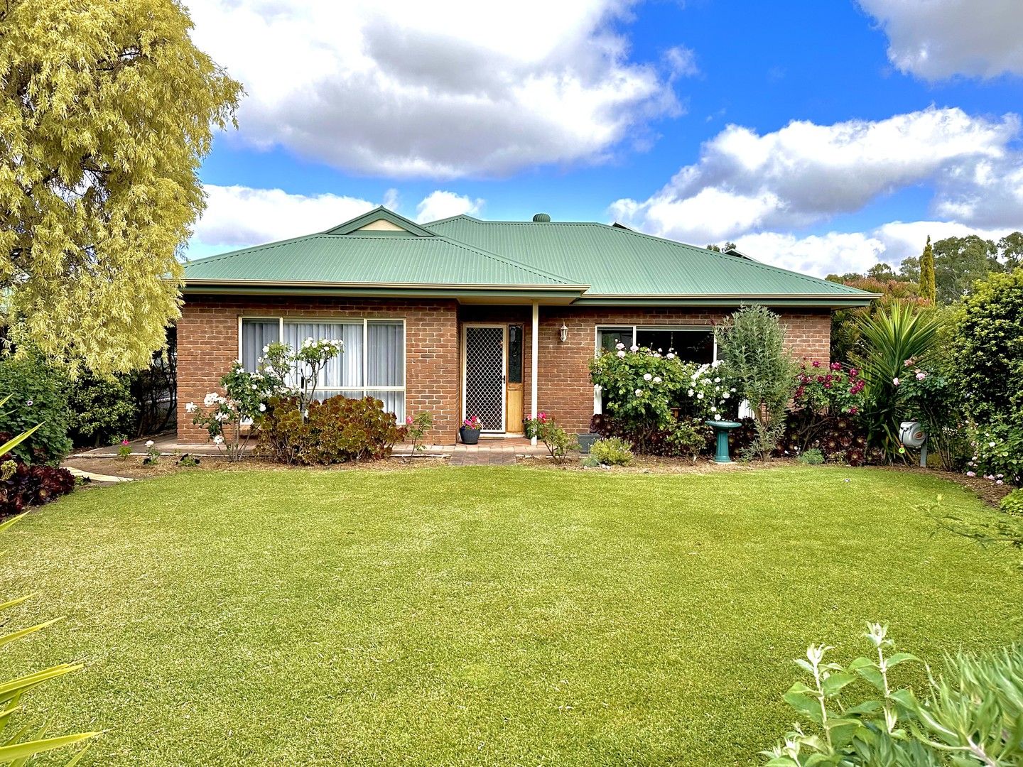 11 Green Street, Bordertown SA 5268, Image 0