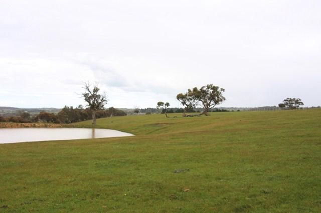 Lot 21 Mount Barker-Wellington Road, WISTOW SA 5251, Image 2