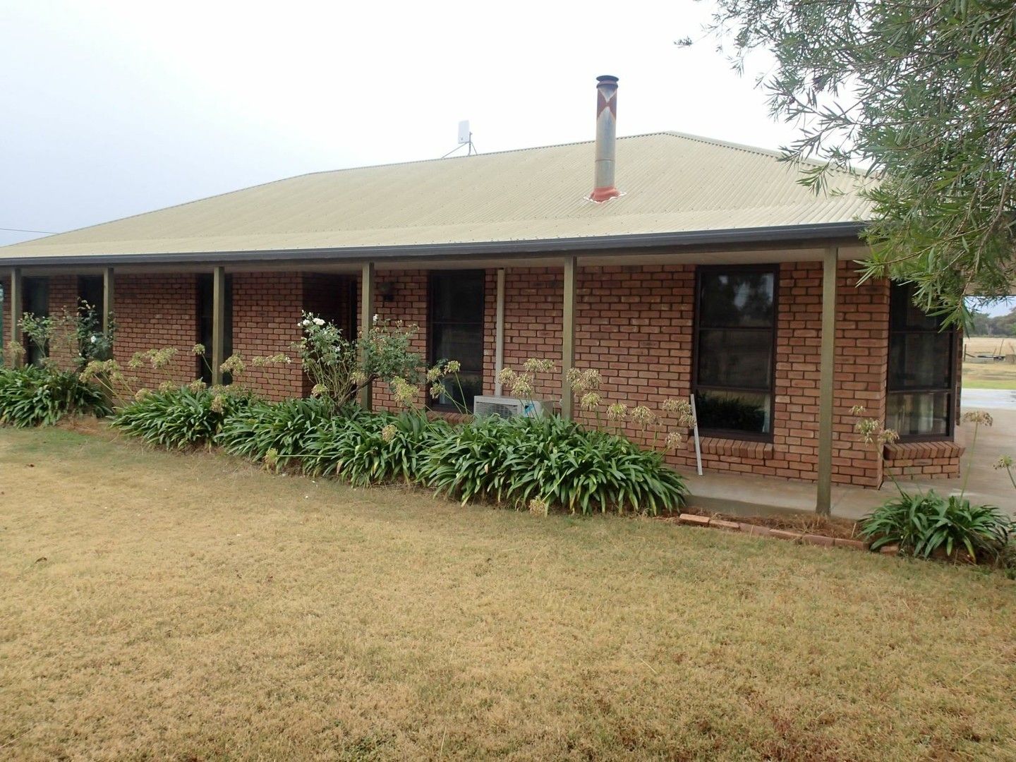 20 Geo Way Rd, Corowa NSW 2646, Image 0