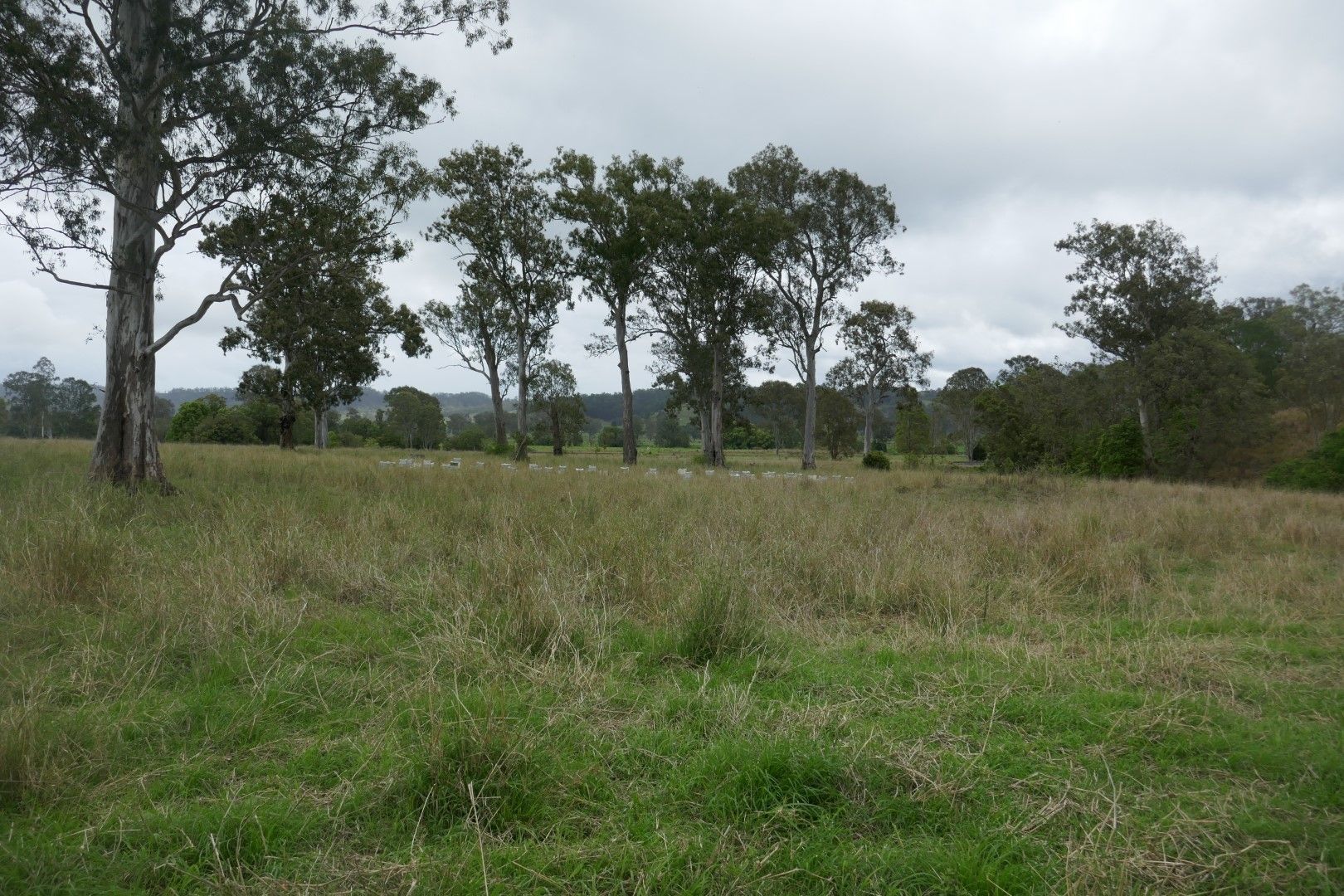 LOT 1 Summerland Way, Kyogle NSW 2474, Image 1