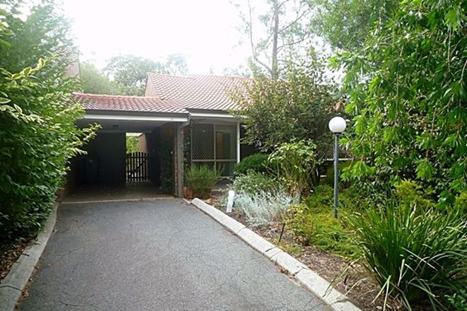 Picture of 26/106 Williams Street, GOOSEBERRY HILL WA 6076
