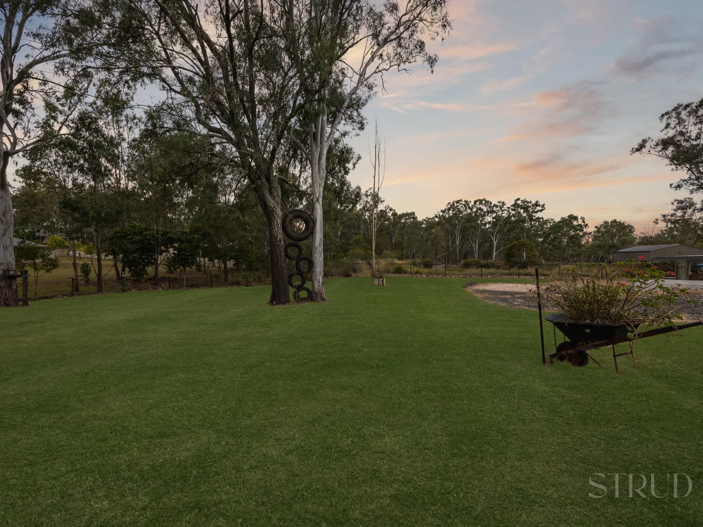 Image 23