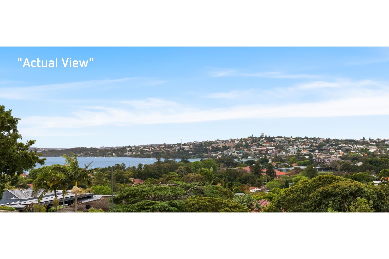 51 Drumalbyn Road, Bellevue Hill NSW 2023, Image 1