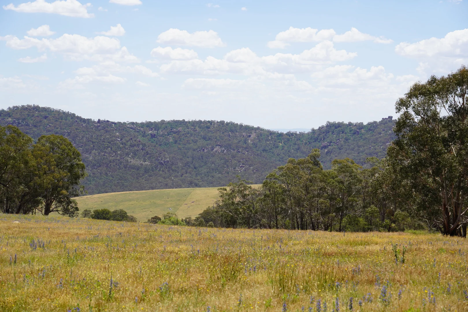 Additional image 8 of 410 Honeysuckle Falls Road, Tarana NSW 2787