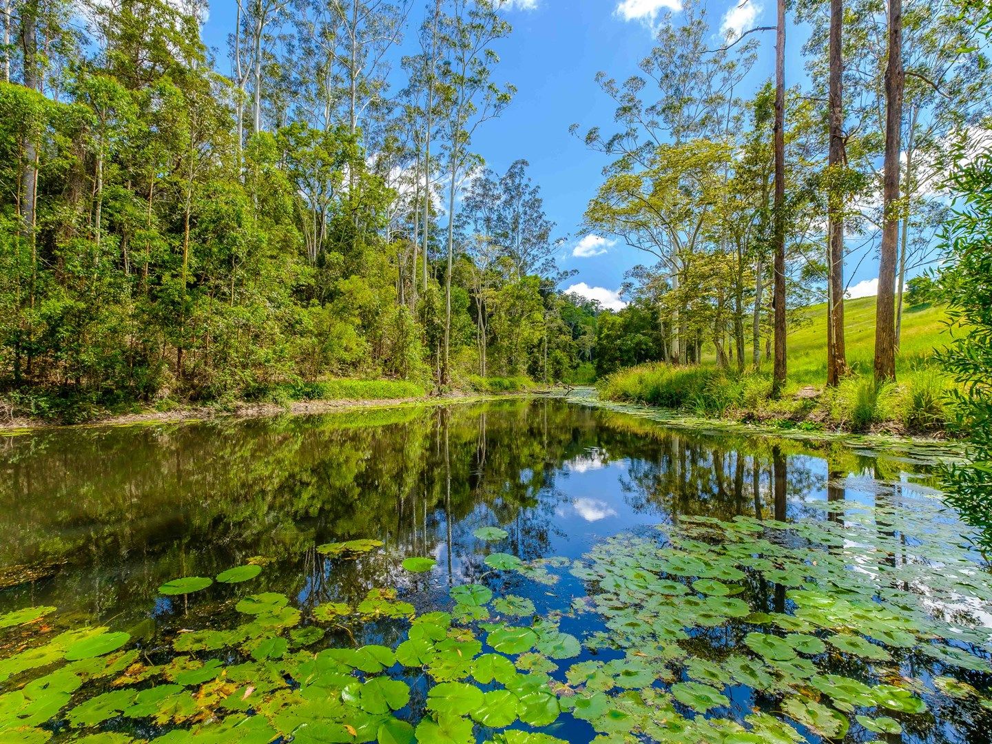 North Deep Creek QLD 4570, Image 1