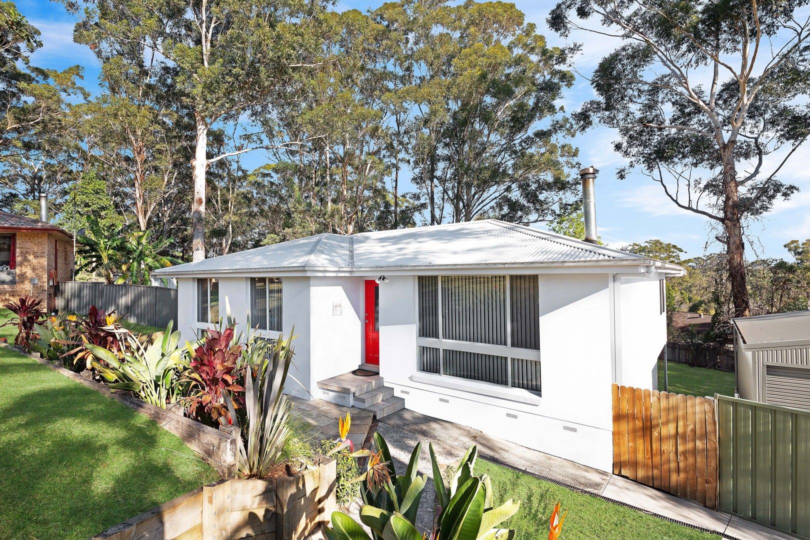 16 Holland Close, Springfield NSW 2250 House For Rent Domain