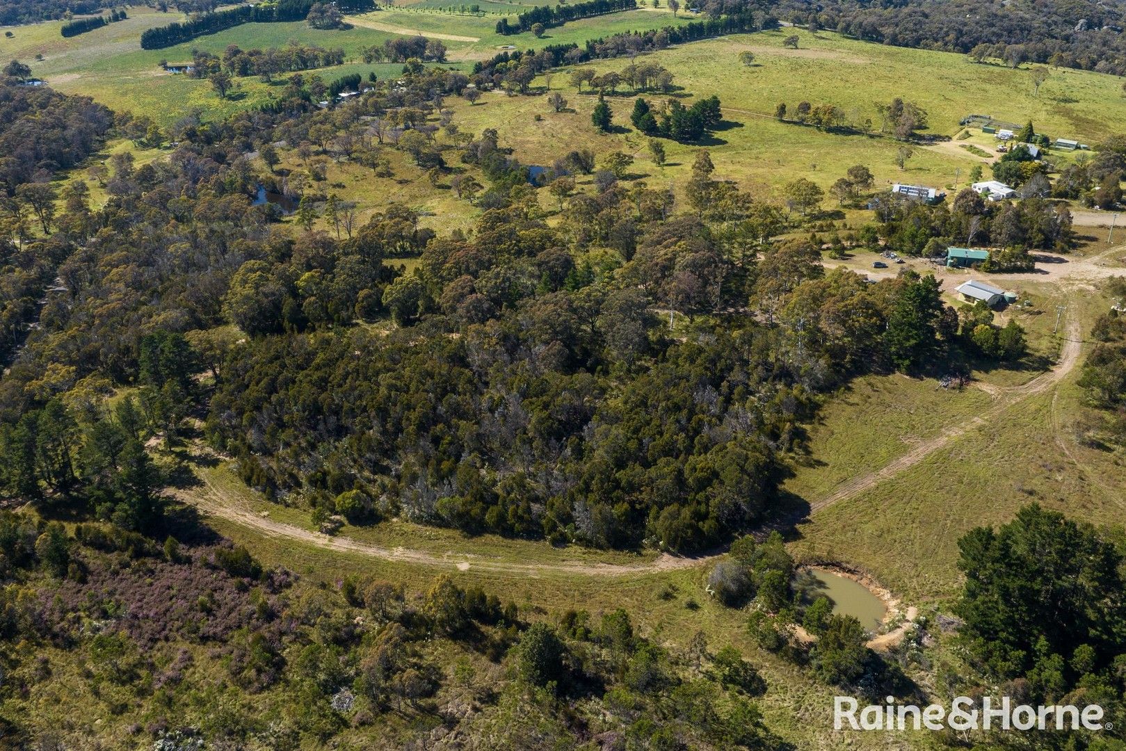 1603 Brayton Road, Big Hill NSW 2579 Domain
