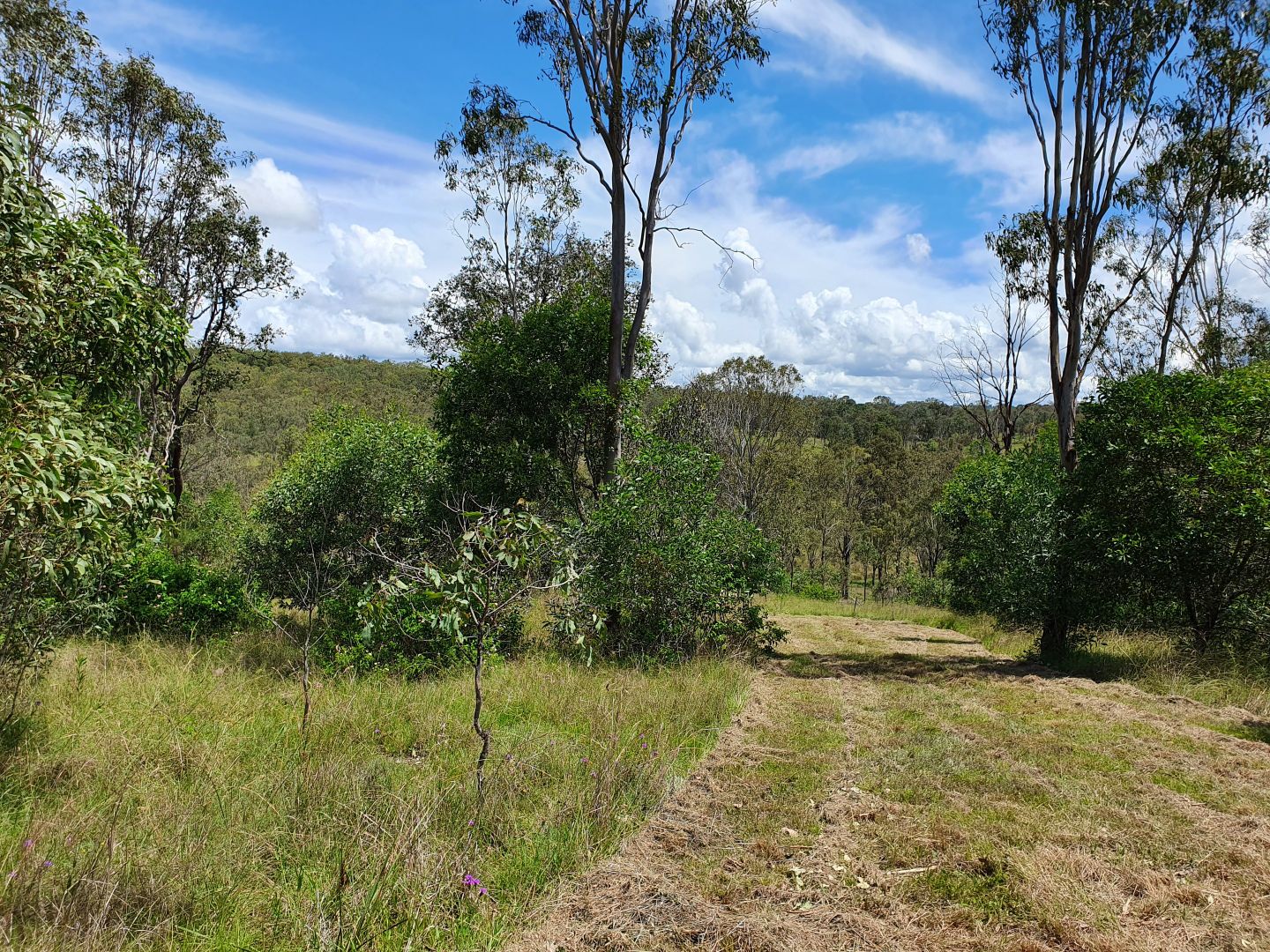 7 EMERSON ROAD, Blackbutt QLD 4314, Image 1