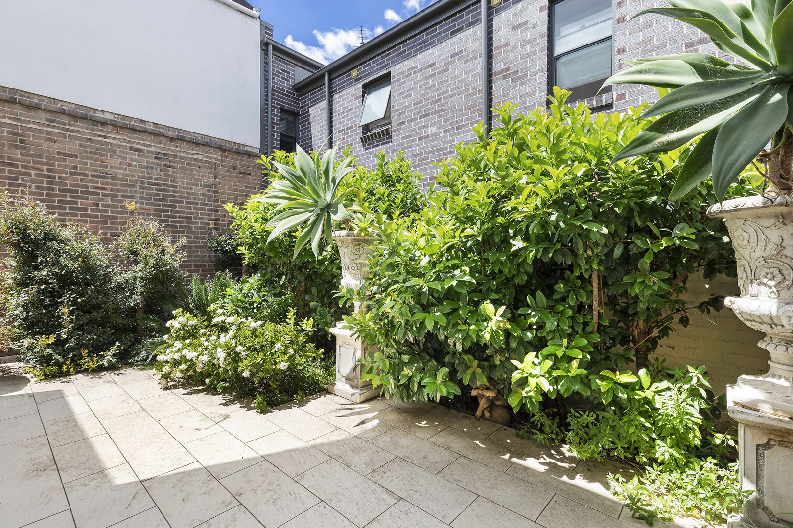 6/18 Gorman Street, Marrickville NSW 2204, Image 1