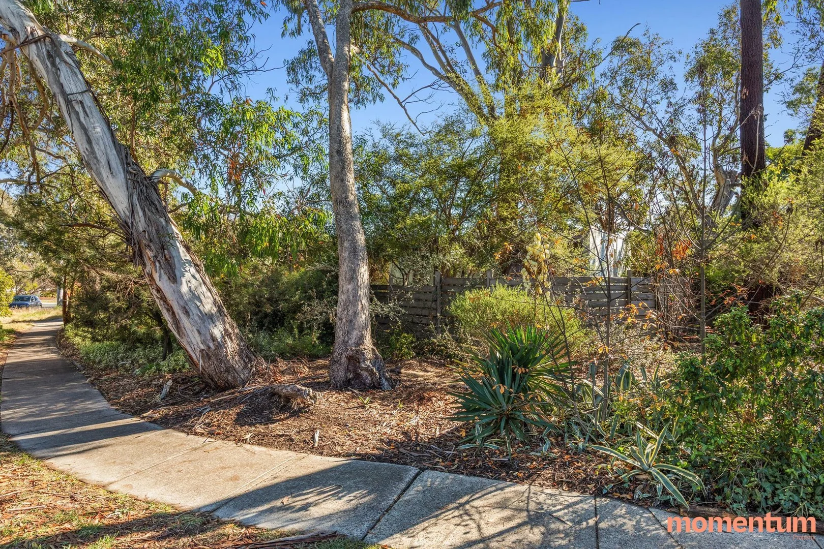 Image 20