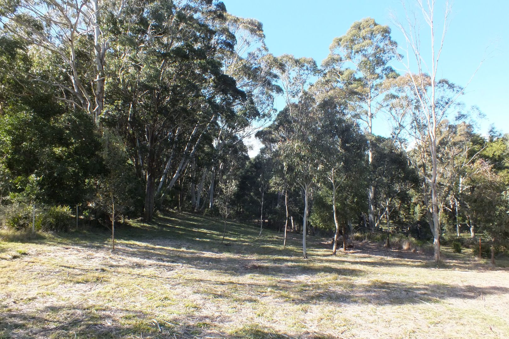 Lot 9 Jenolan Caves Road, Hampton NSW 2790, Image 2