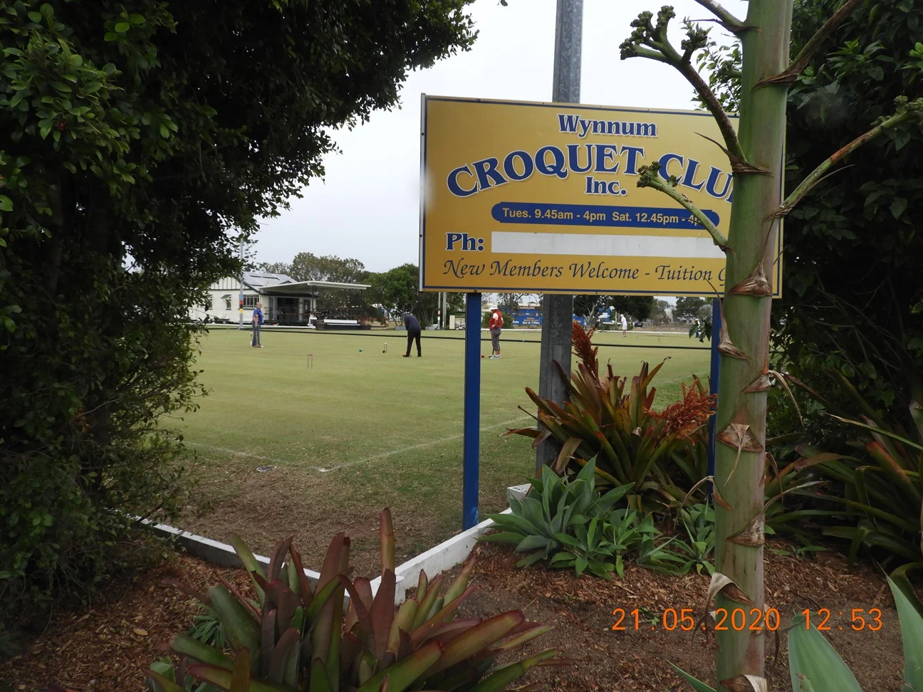 Image 13