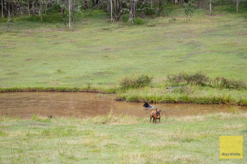 Additional image 33 of 352 Junction Road, Karalee QLD 4306