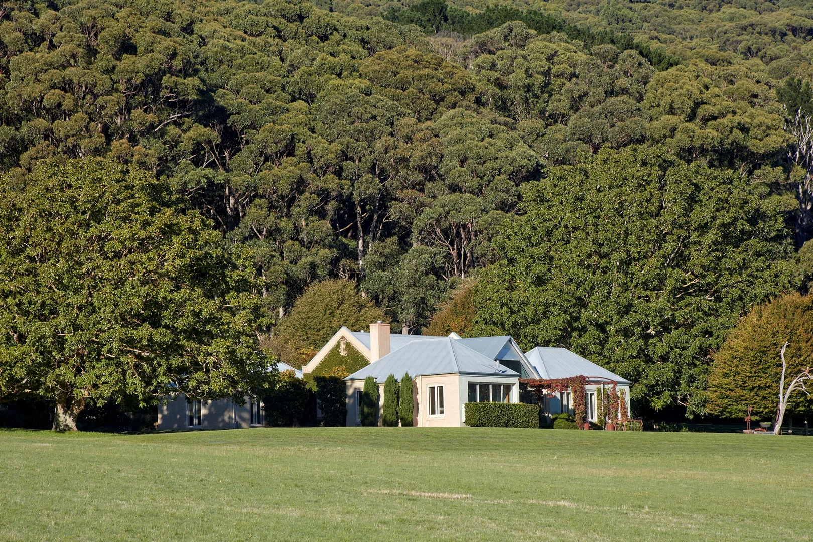 Image 3