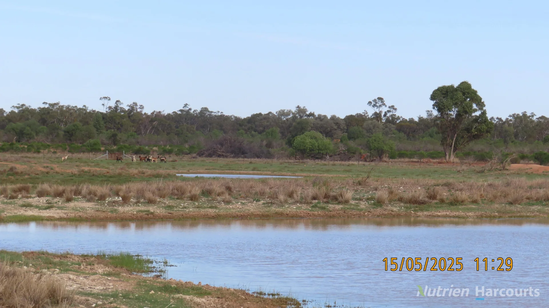 Additional image 23 of * CABLE DOWNS, Cobar NSW 2835