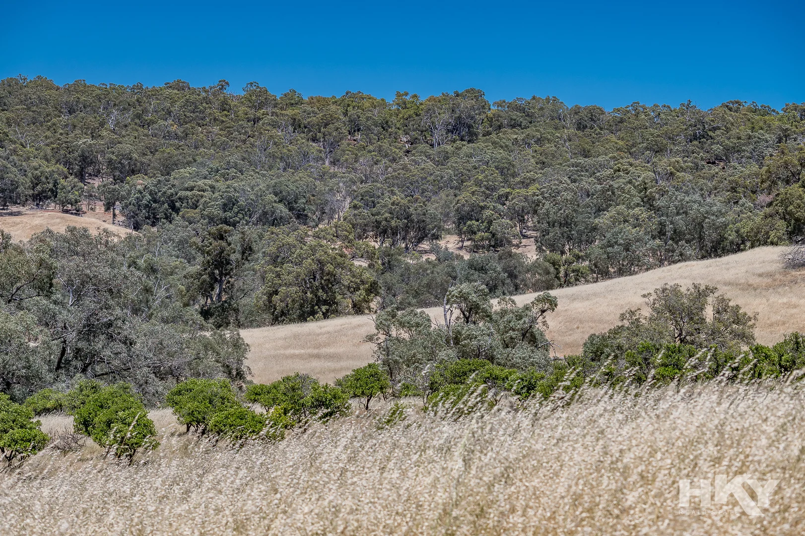 Image 18