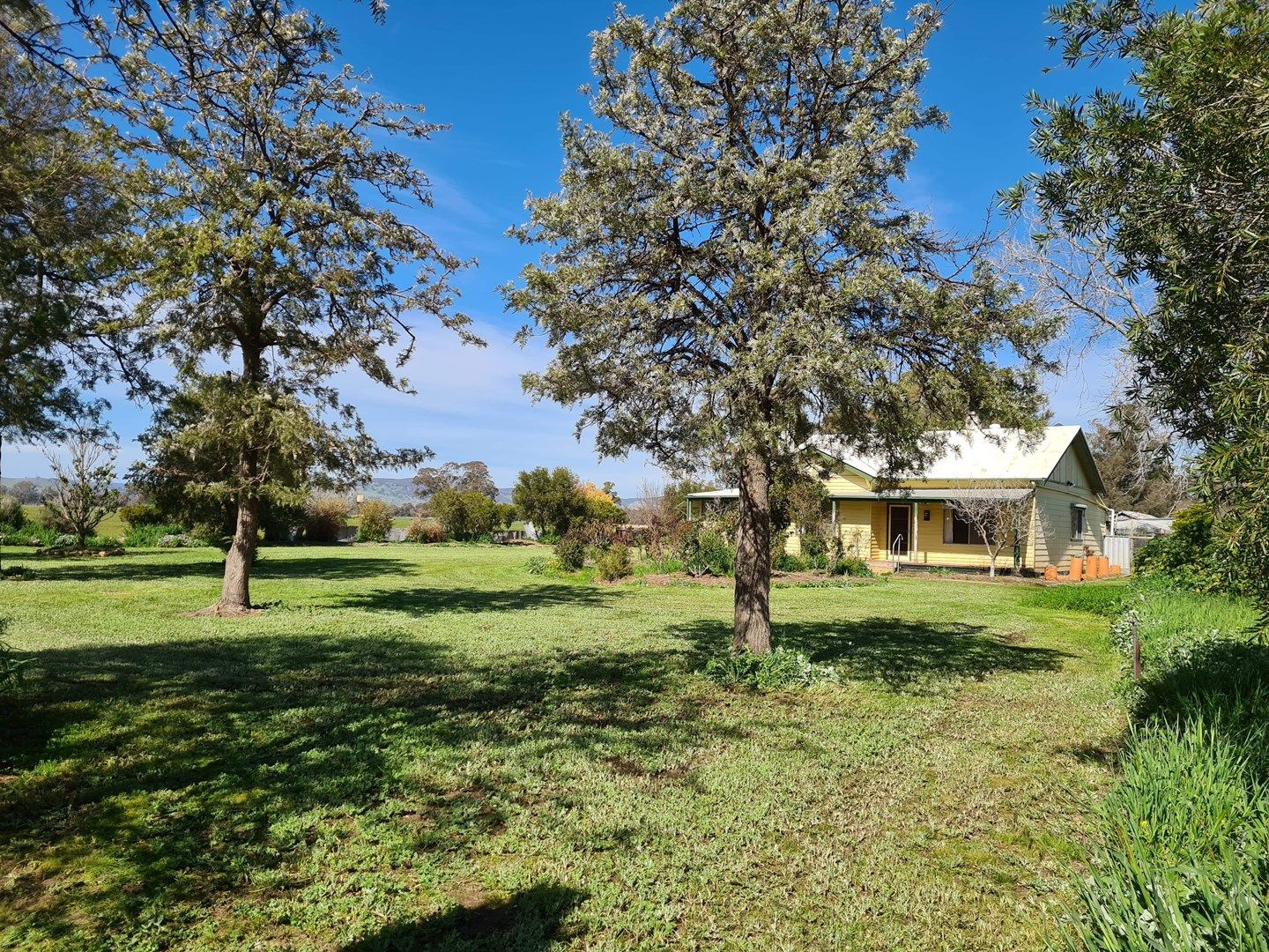 3868 Violet Town Murchison Rd, Violet Town Via, Euroa VIC 3666, Image 1