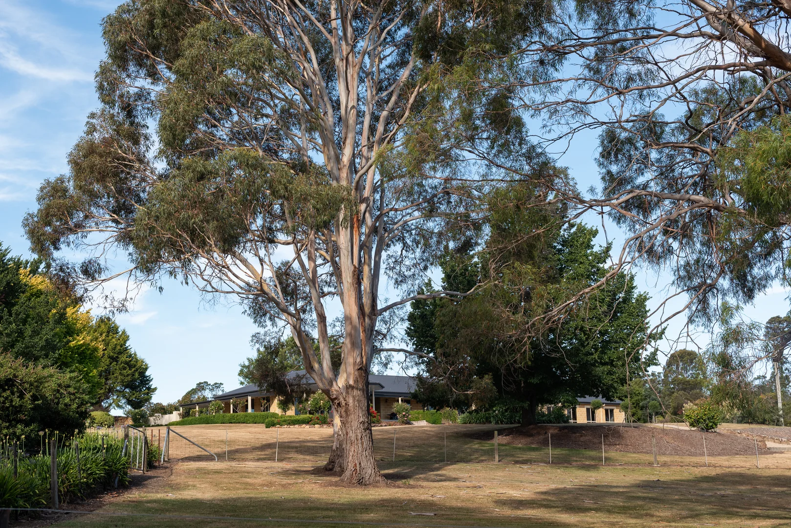 Image 23