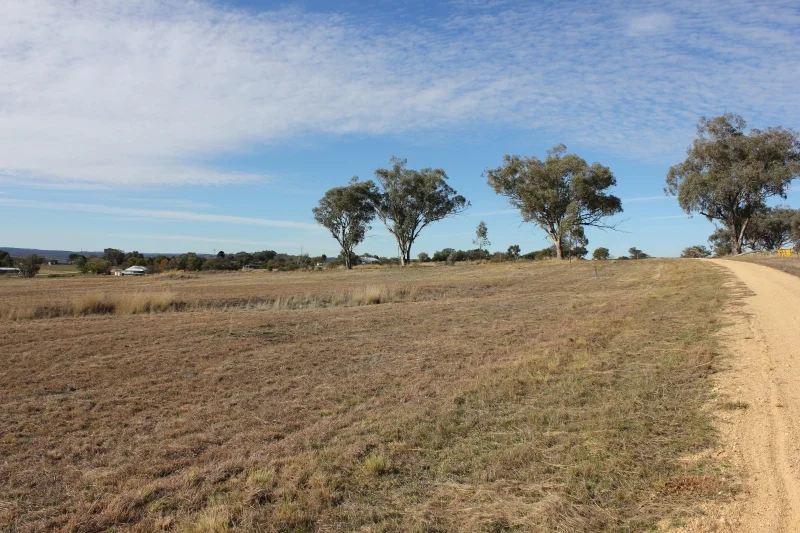 Image 10