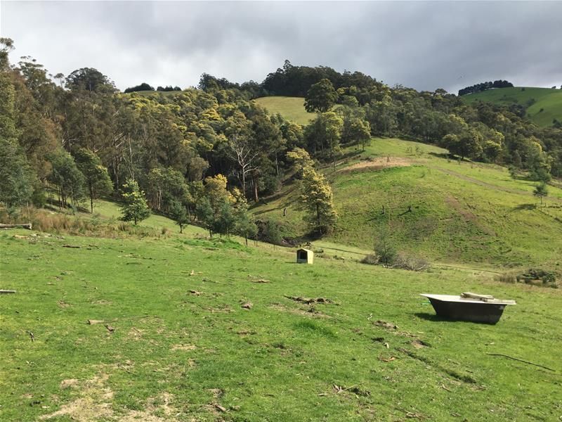 Lot 1 Golden Valley Road, Cygnet TAS 7112, Image 0