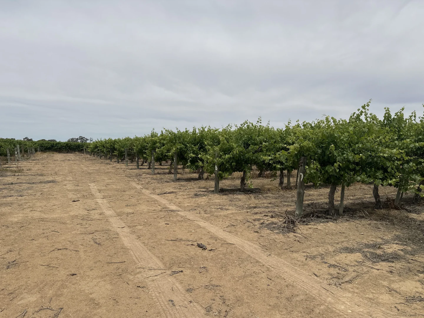 Image 12