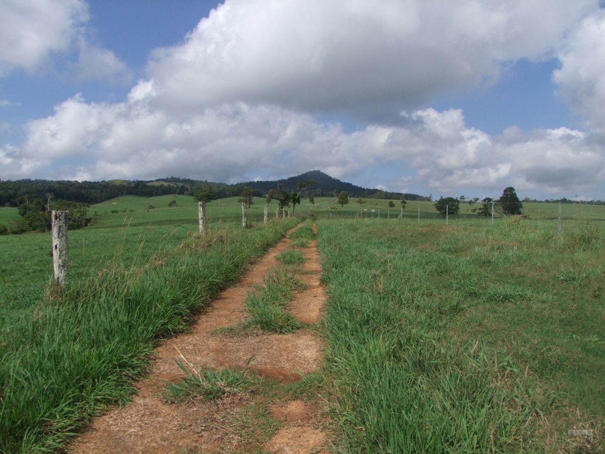 Millaa Millaa QLD 4886, Image 1