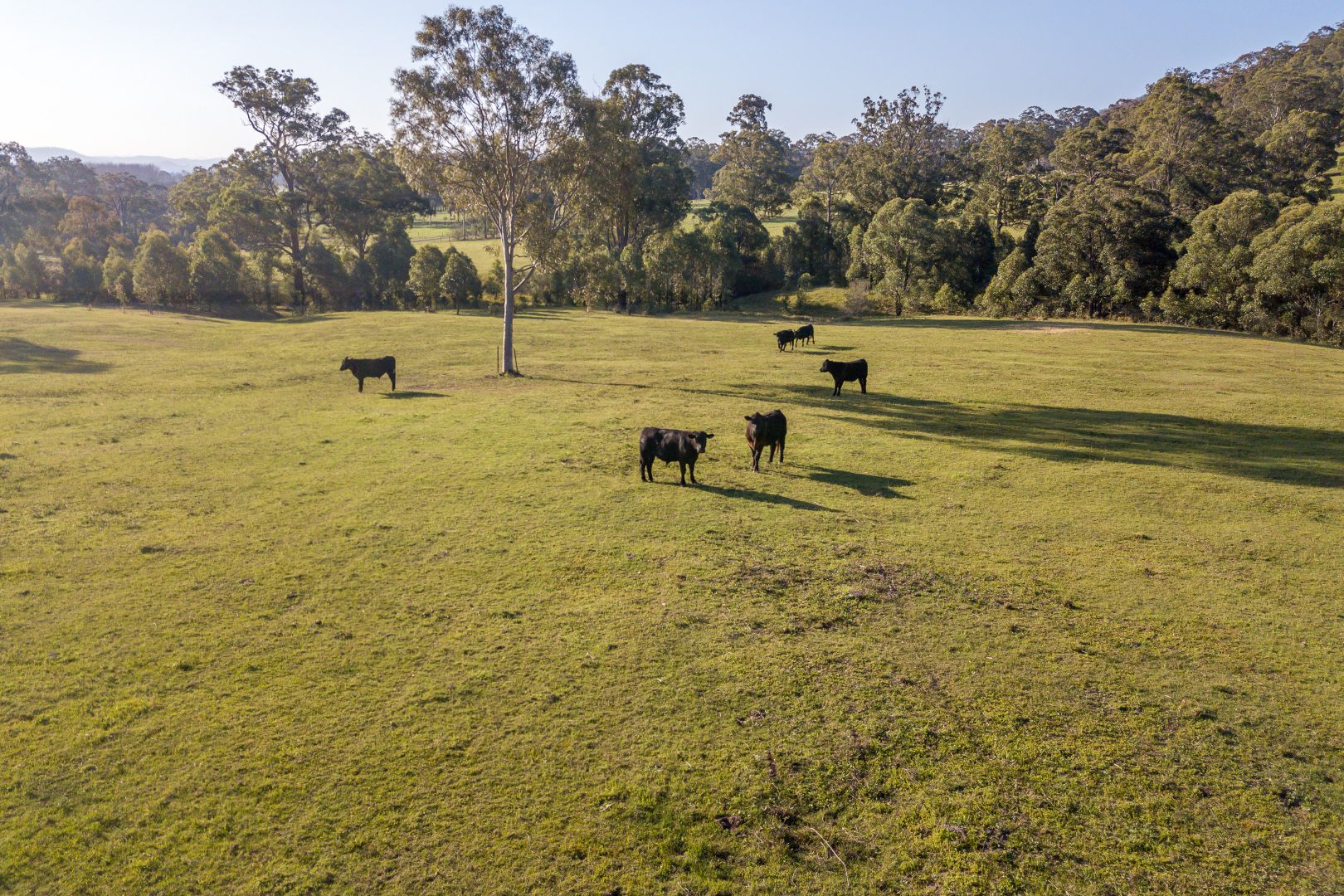 92 Punchs Road, Glen Martin Property History & Address Research Domain