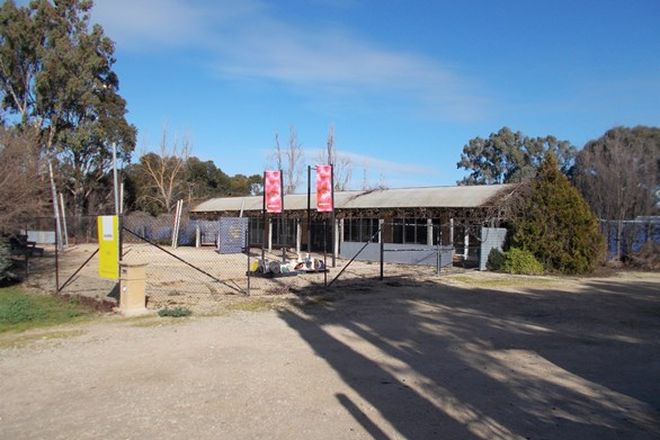 Picture of 117 Park Terrace, BORDERTOWN SA 5268