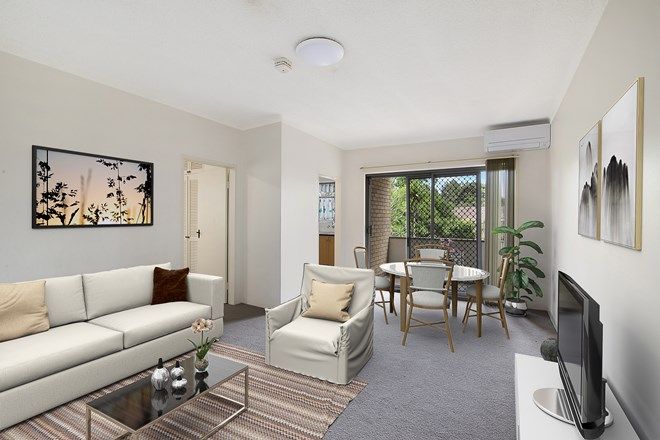289 1 Bedroom Apartments For Rent In Ashfield Nsw 2131 Domain