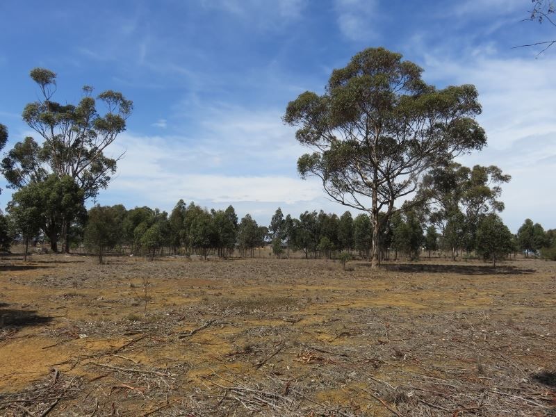 Lot 50 Bakers Lane, Teesdale VIC 3328, Image 1