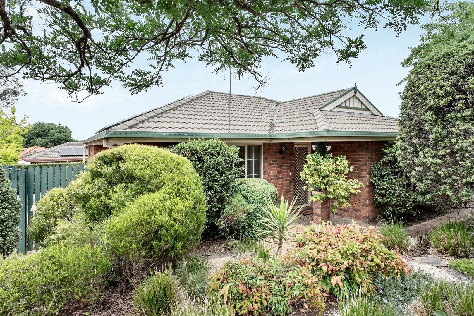 14 Naas Close, Amaroo ACT 2914, Image 1