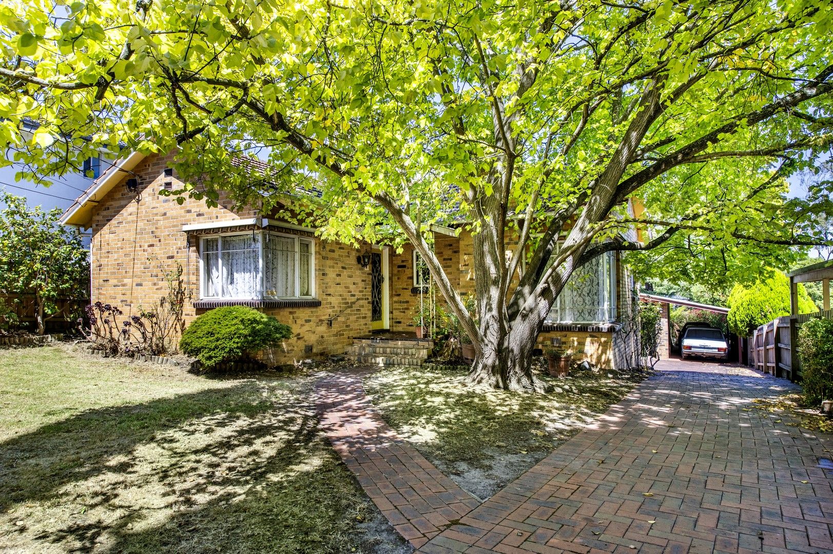 20 Efron Street, Nunawading VIC 3131, Image 0