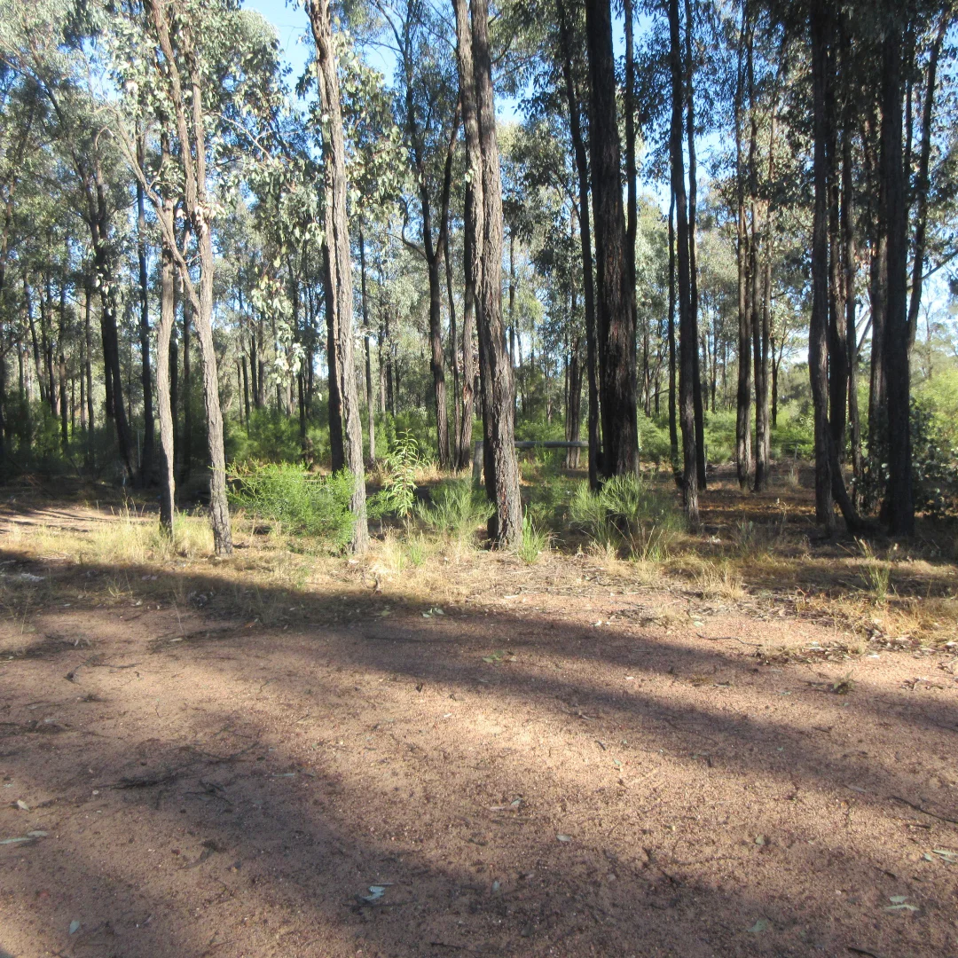 Additional image 11 of Tara QLD 4421
