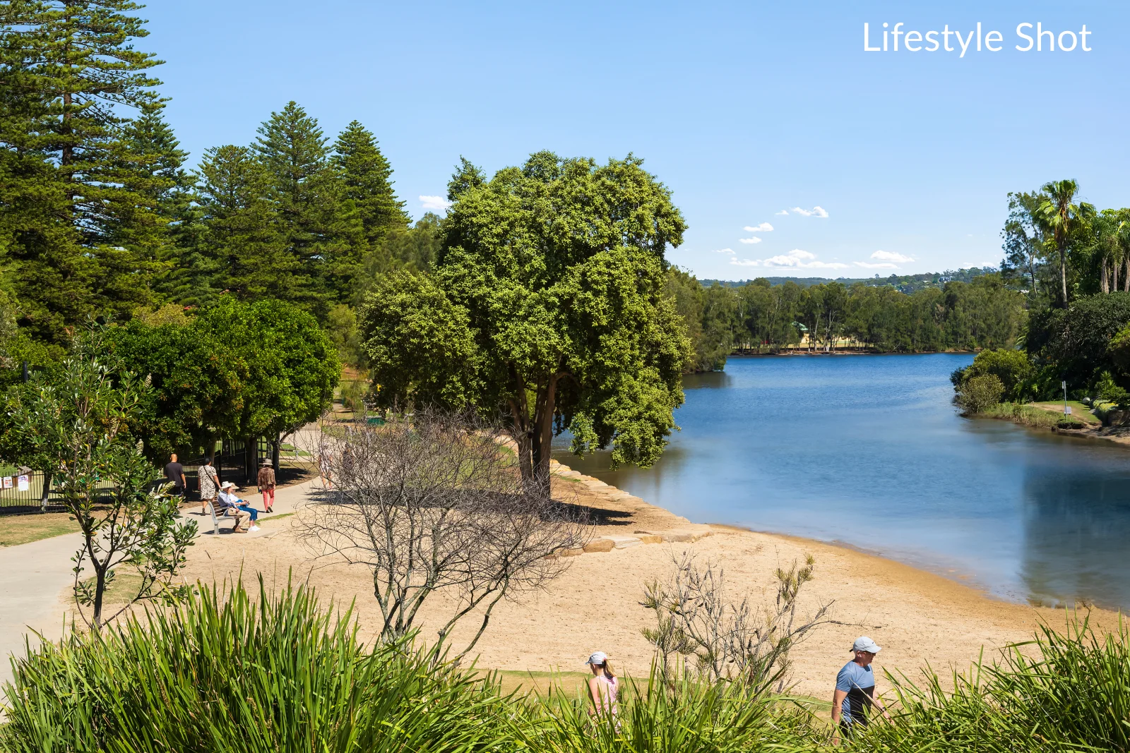11/111 Queenscliff Road, Queenscliff NSW 2096 | Domain