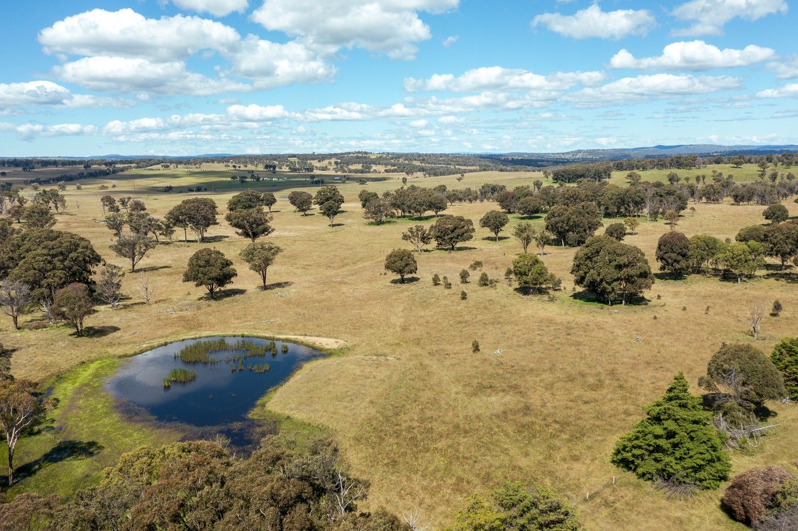 Farm in 1670 Grafton Road, ARMIDALE NSW, 2350