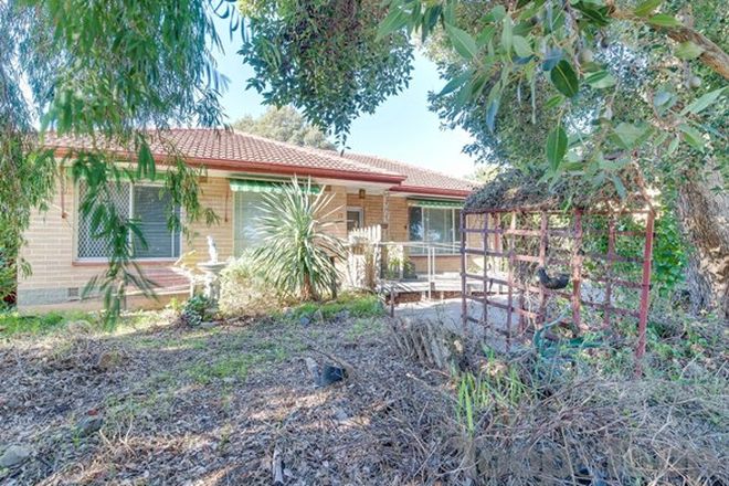 Picture of 10 Ellen Street, TEA TREE GULLY SA 5091