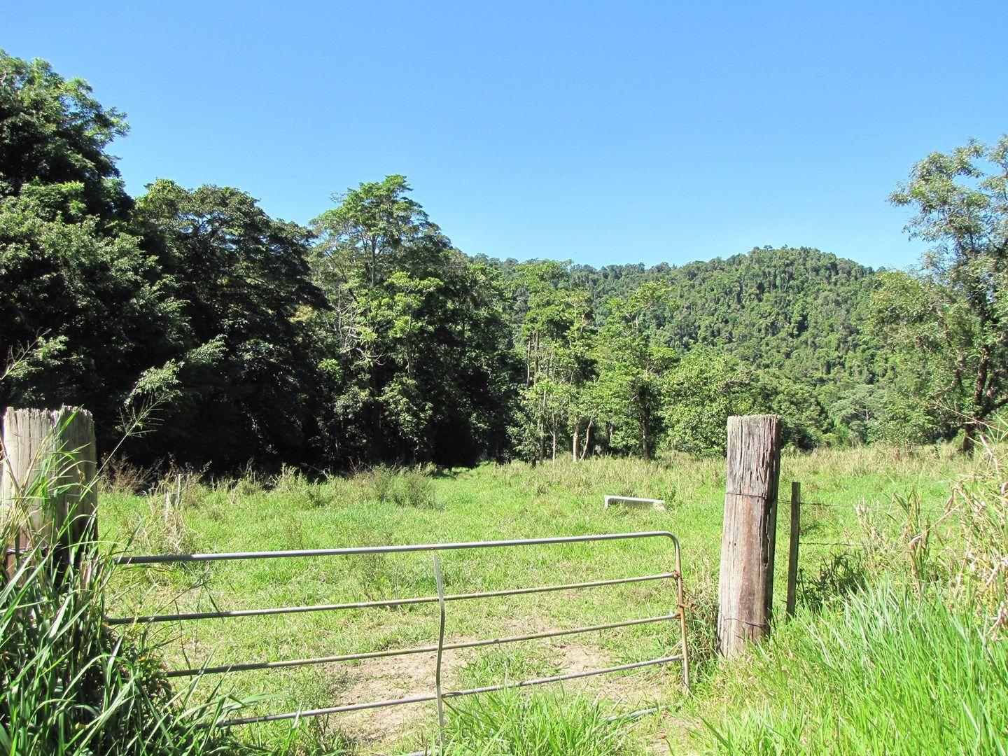 Lot 6 Stewart Creek Road, Stewart Creek Valley, Daintree QLD 4873, Image 0