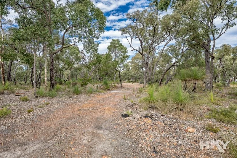 Image 35
