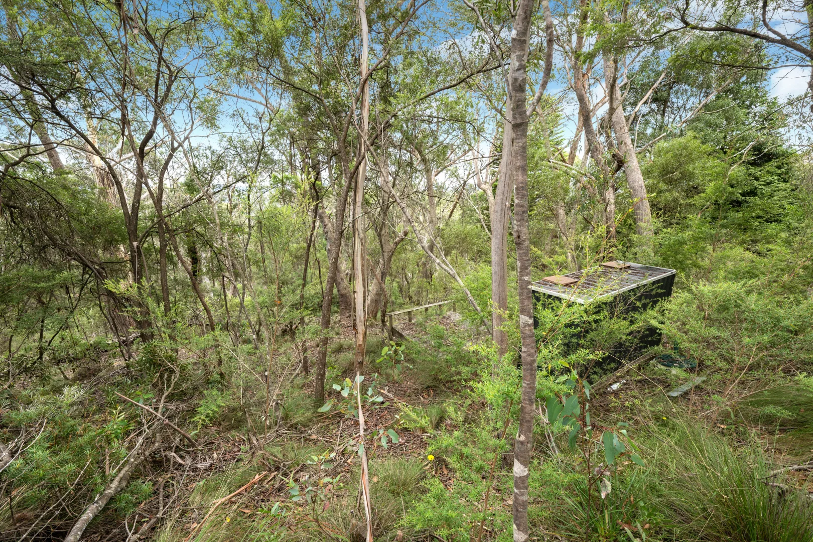 Image 6