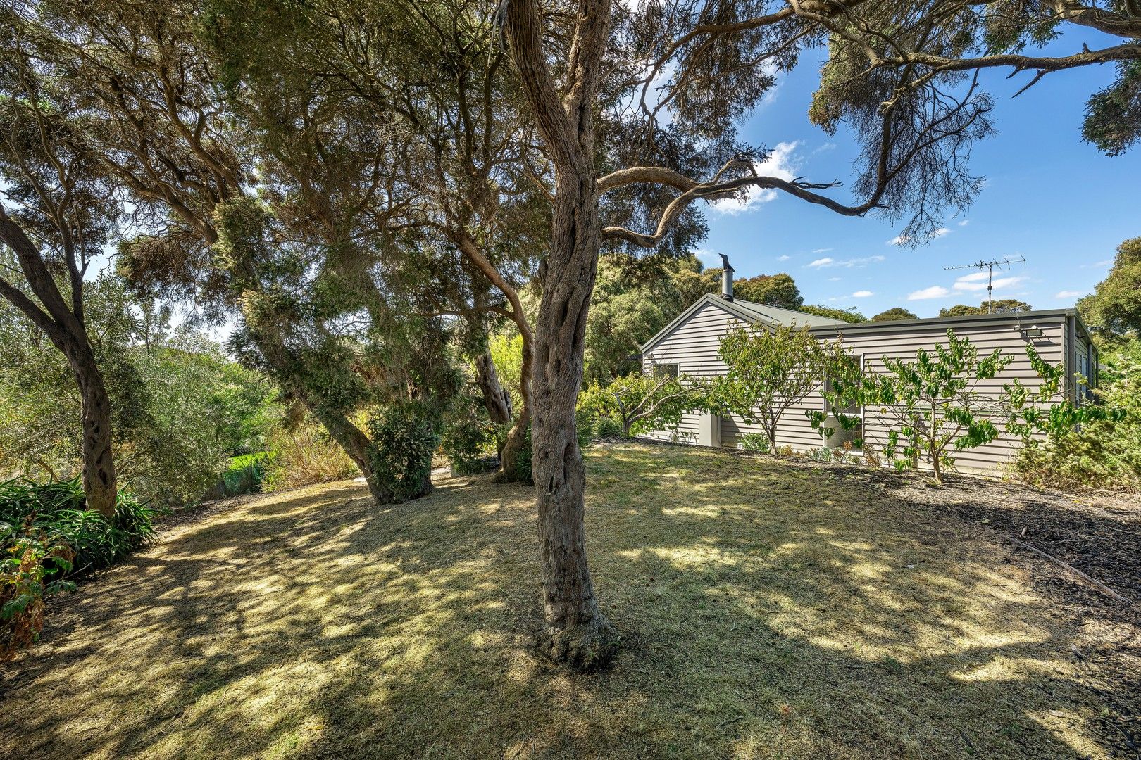 24 William Road, Blairgowrie VIC 3942, Image 0