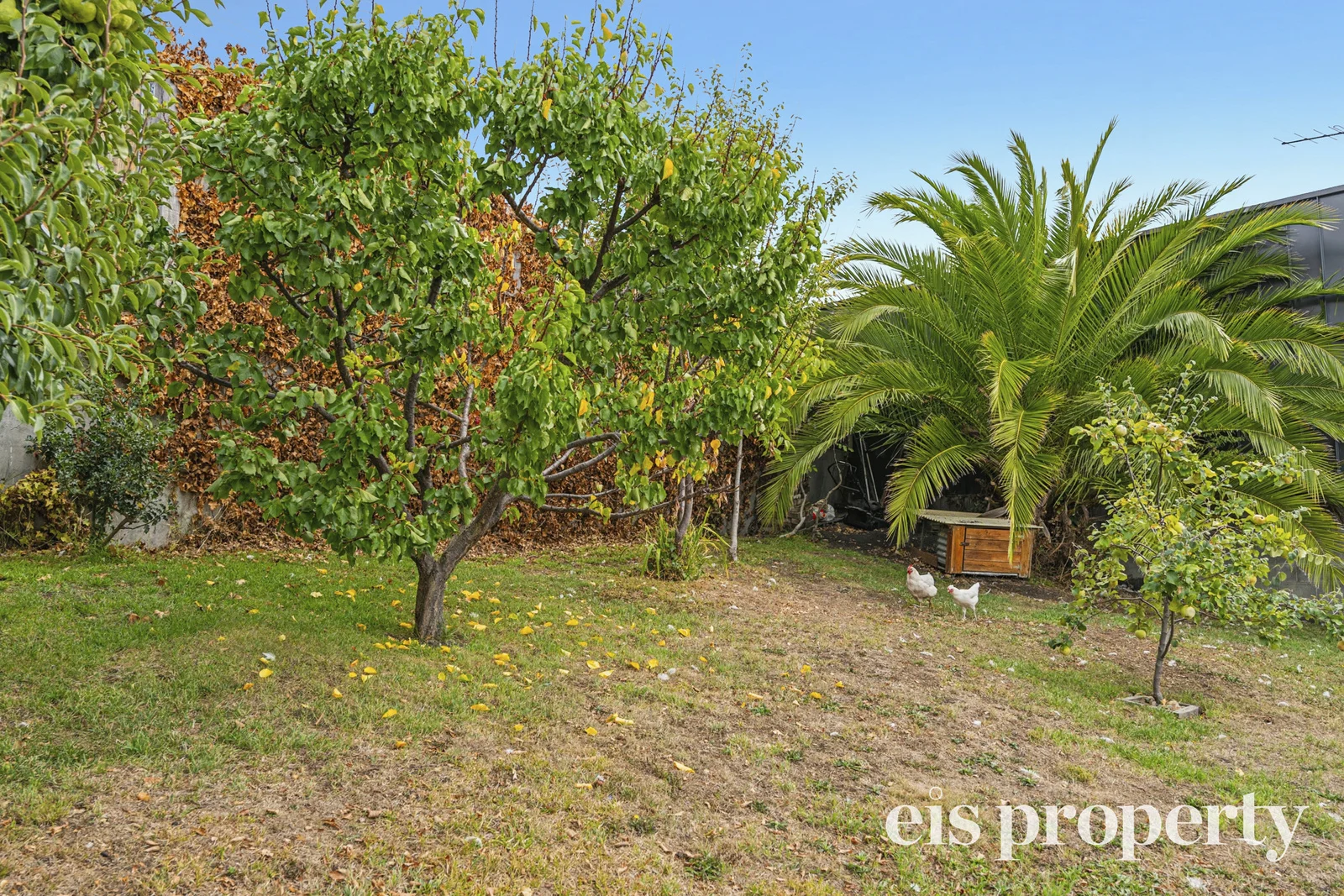 Additional image 25 of 15 Proctors Road, Dynnyrne TAS 7005