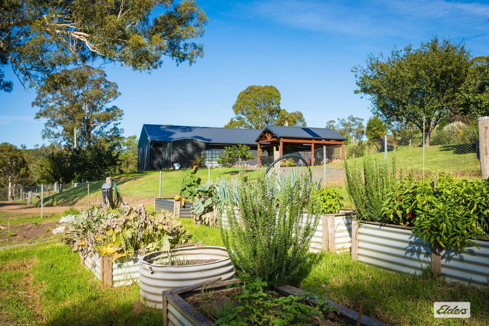 Additional image 2 of 613 New Buildings Road, Wyndham NSW 2550