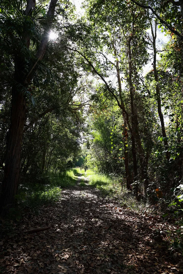 Image 15